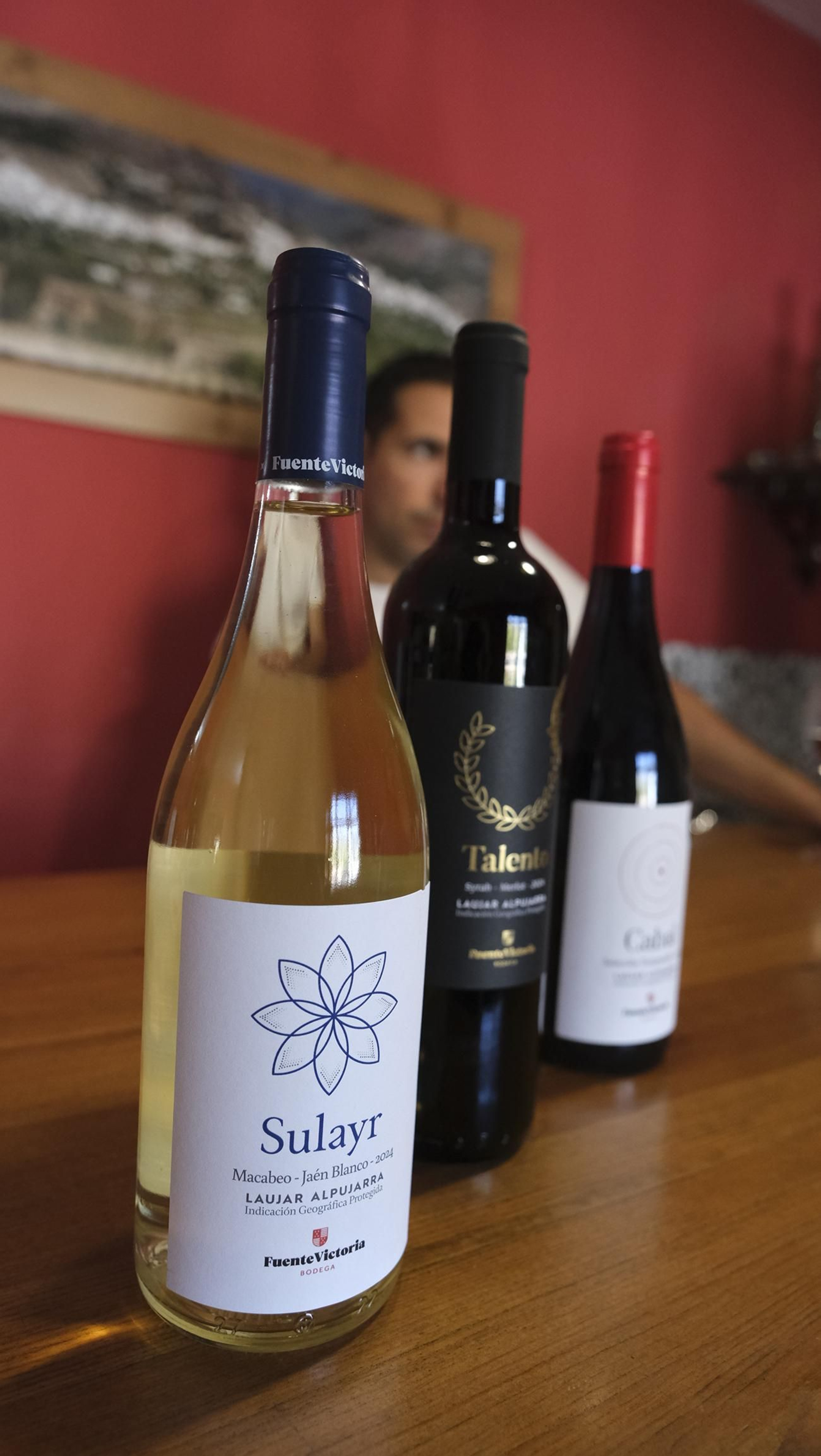 Las imágenes de la vendimia en la zona de Laujar de Andarax