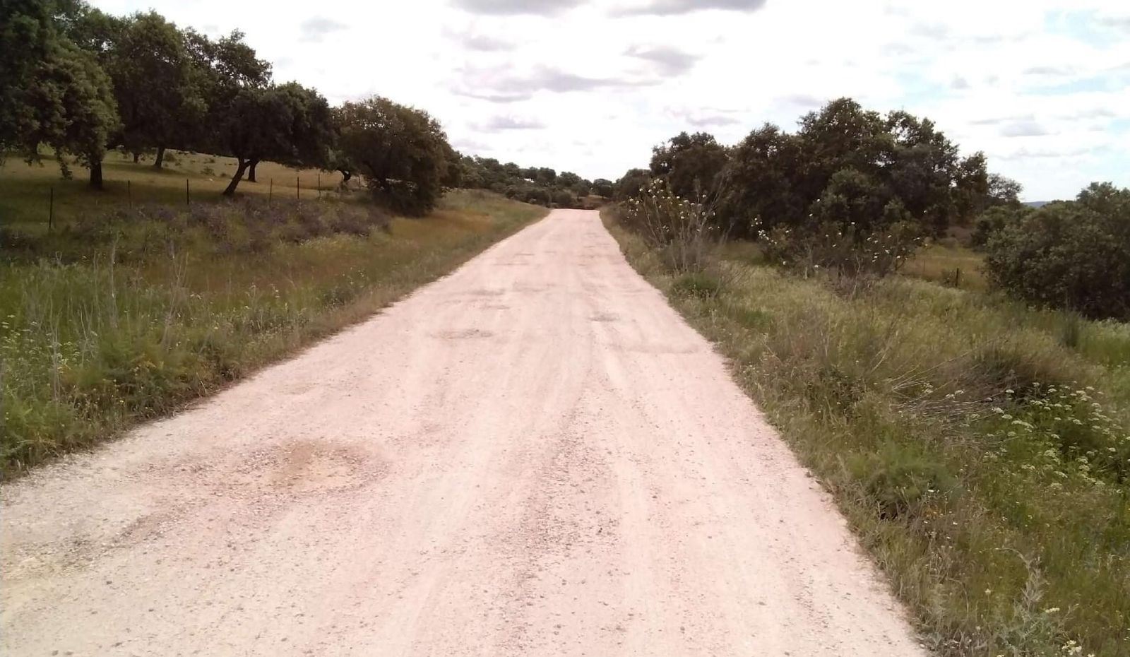 Uno de los caminos forestales de la provincia de Sevilla.