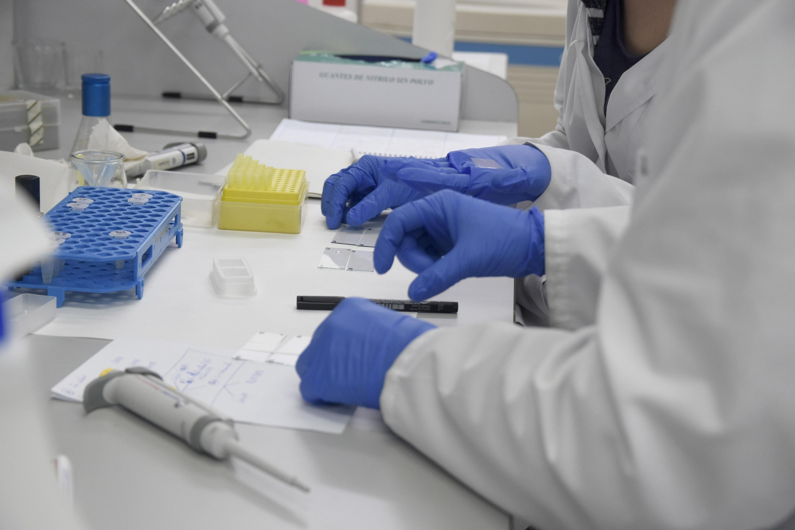 Investigadores de la UCO durante el desarrollo de un proyecto.