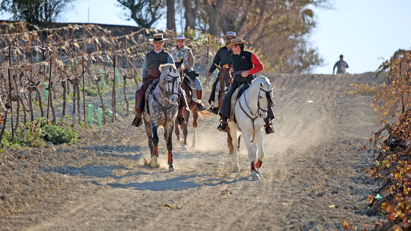 II Ruta Viñas de Jerez