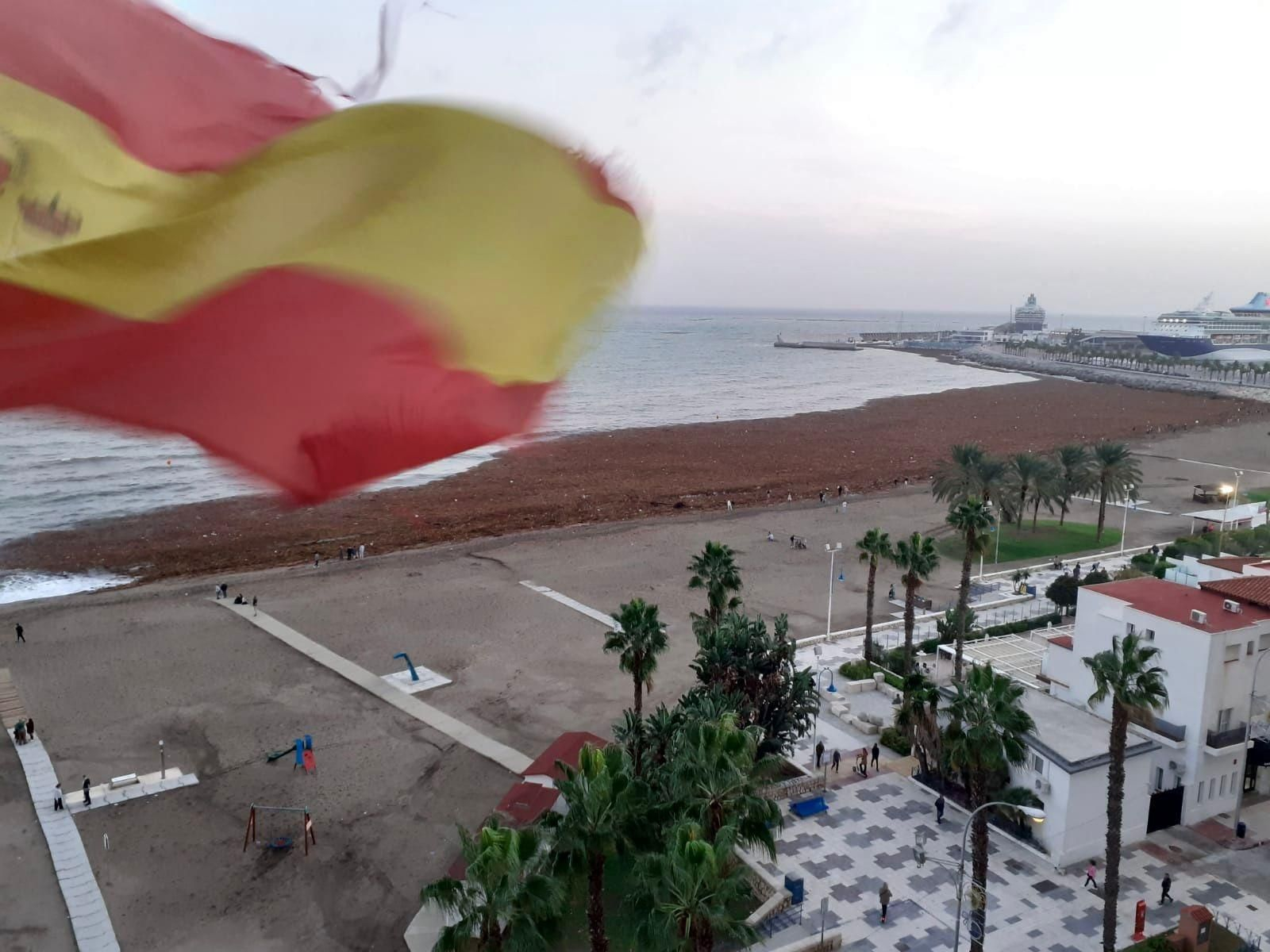 Cañas en la playa de La Malagueta tras las lluvias.