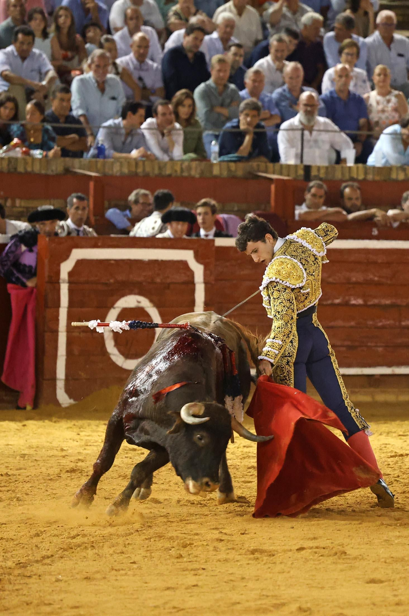 Toros La Merced 2025: Imágenes de la Novillada de Javier Zulueta, Cristian González y Carlos Tirado