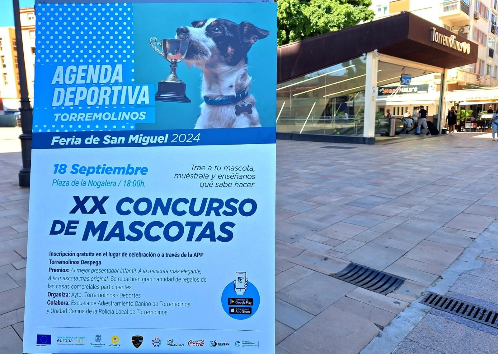 El cartel del concurso. El cartel del concurso.