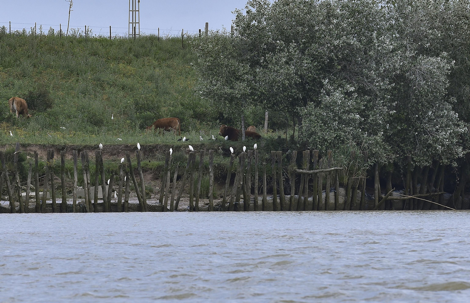 Travesía en barco por el Guadalquivir