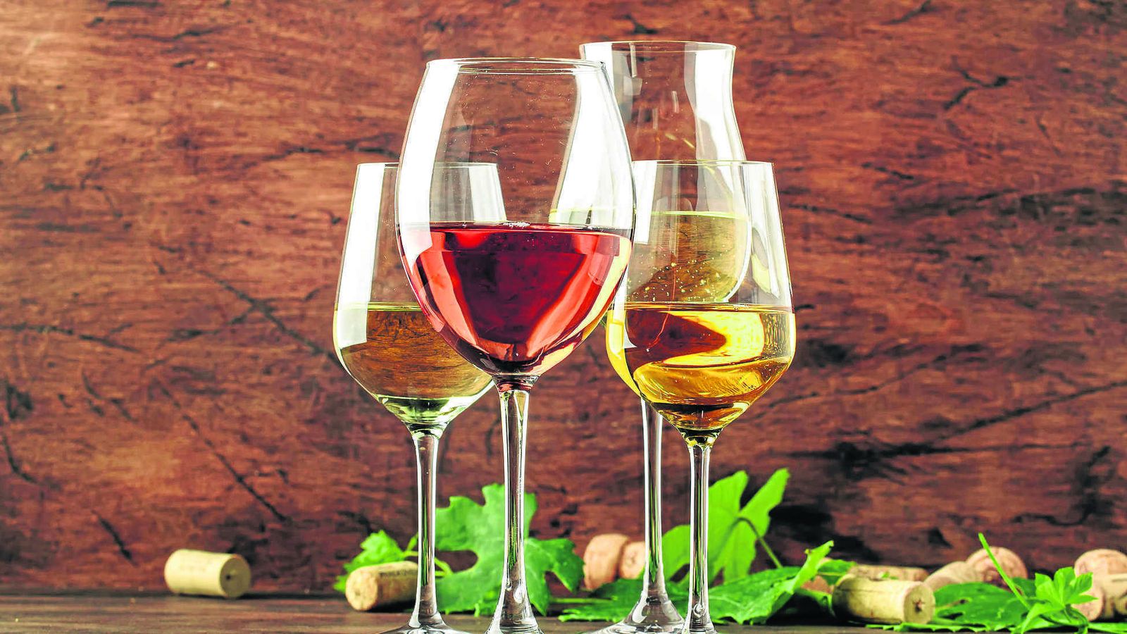 Vinos de la Tierra de Cádiz.