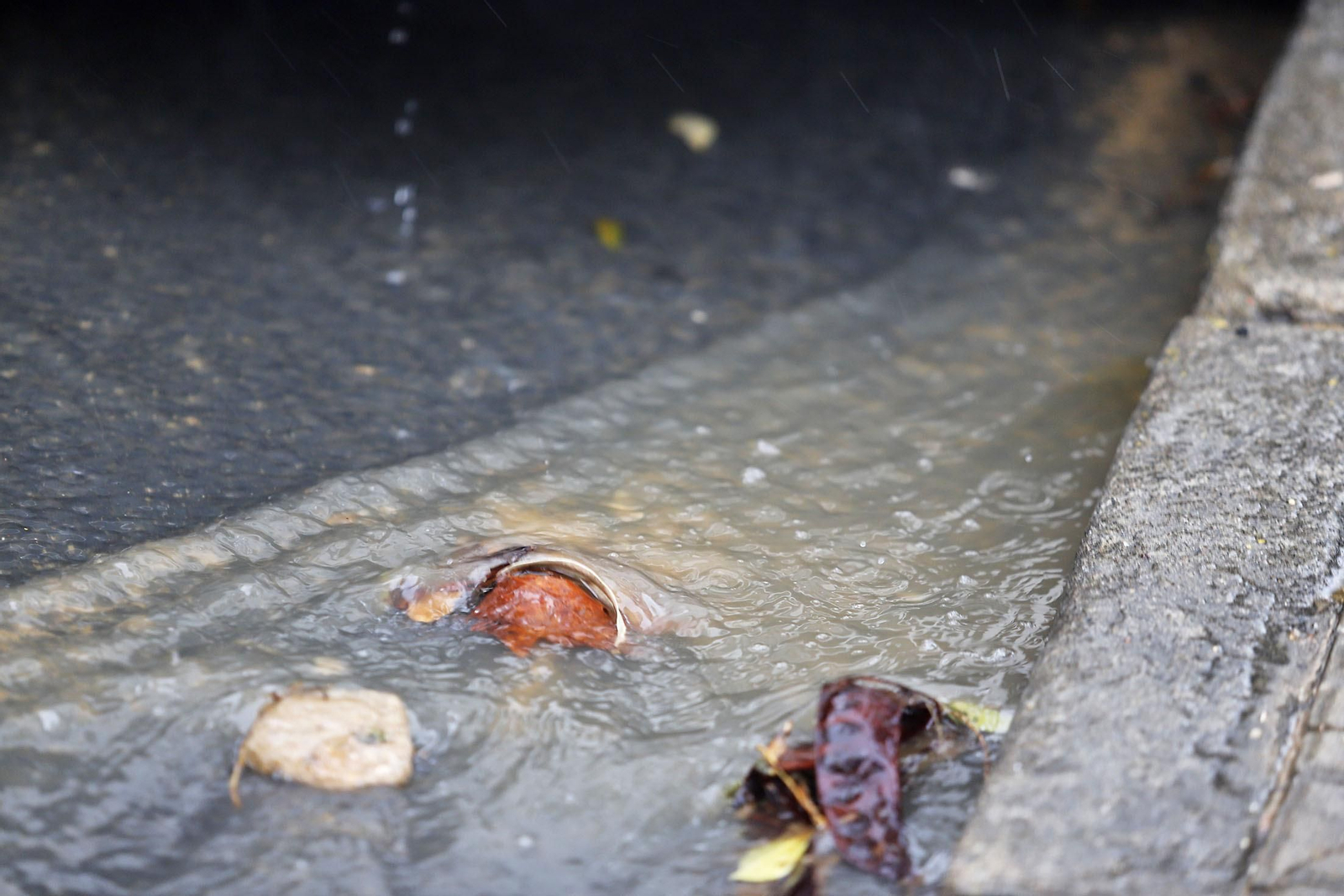 Imágenes de la mañana lluviosa de domingo en Huelva