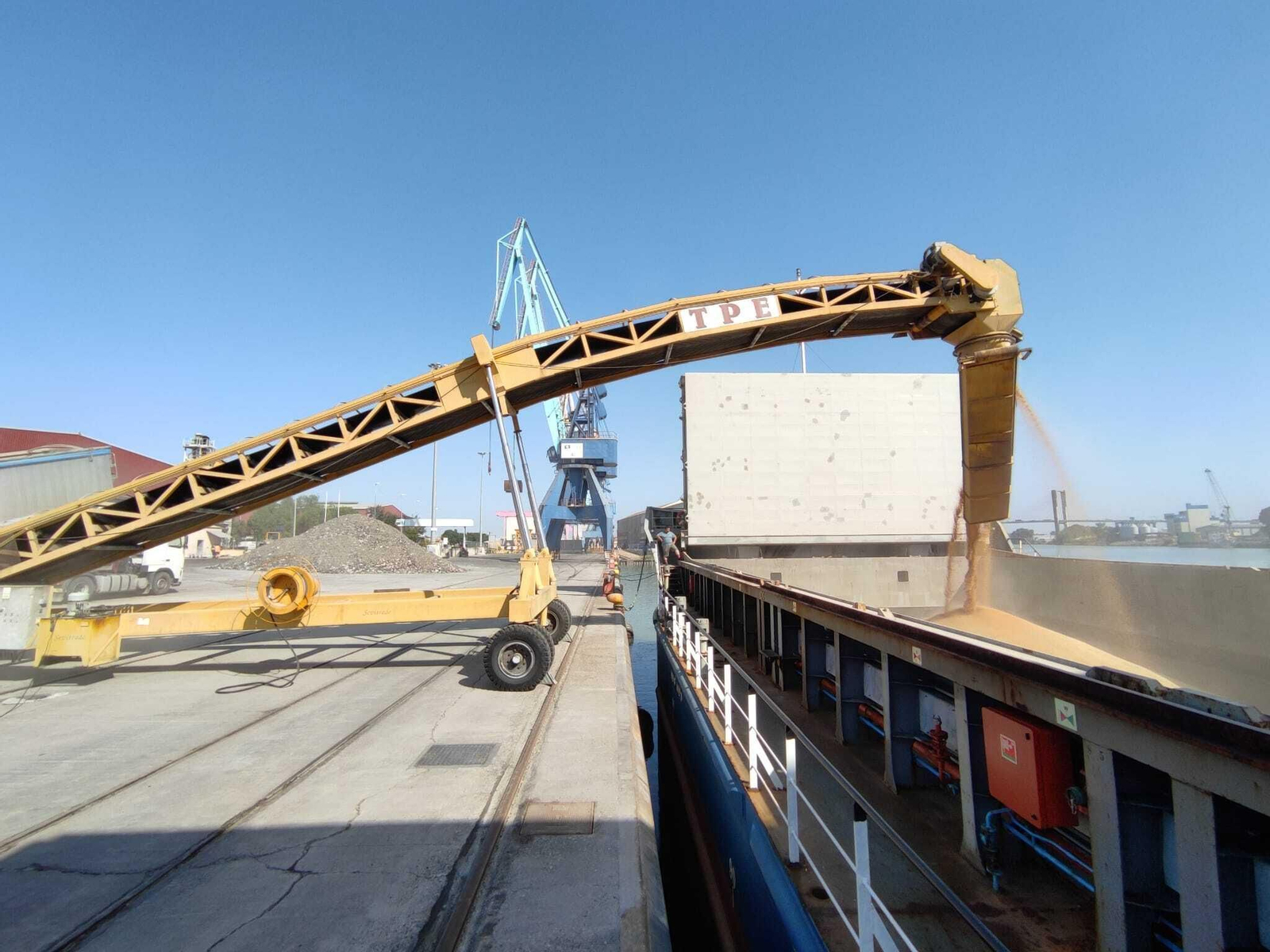 Operación de estiba de cereal ecológico en las instalaciones de Sevitrade.
