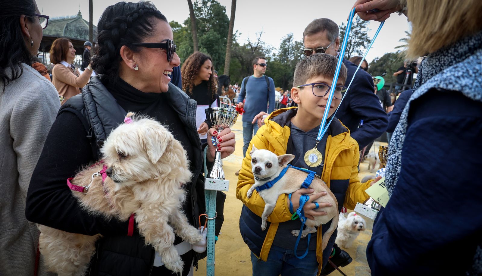 Fiesta de san Antón 2024 en Jerez