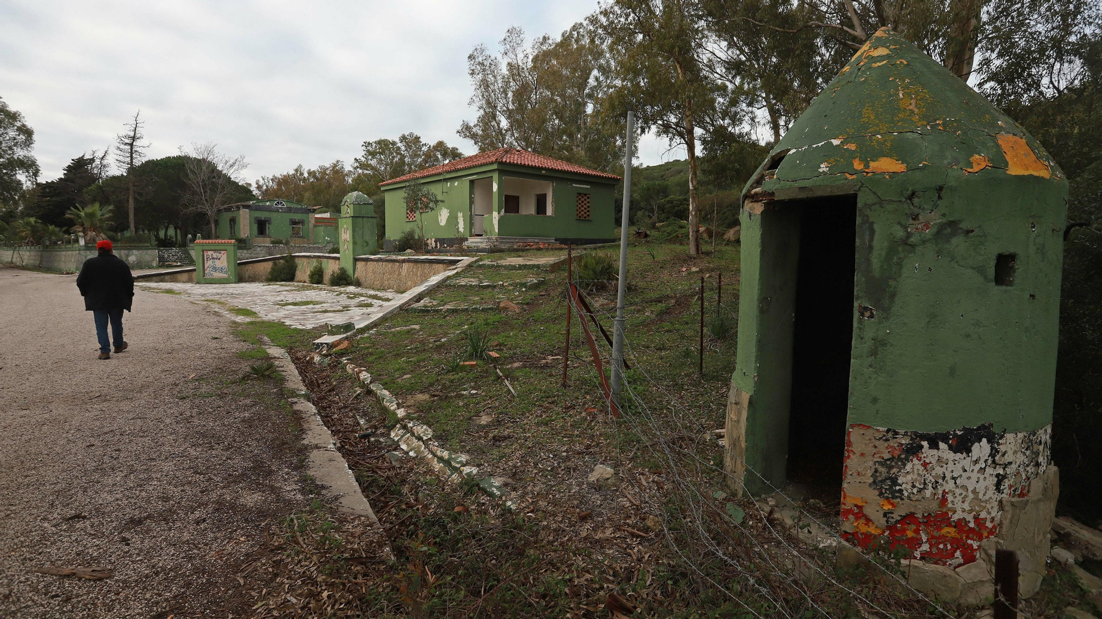 Las mejores fotos de Paloma Alta