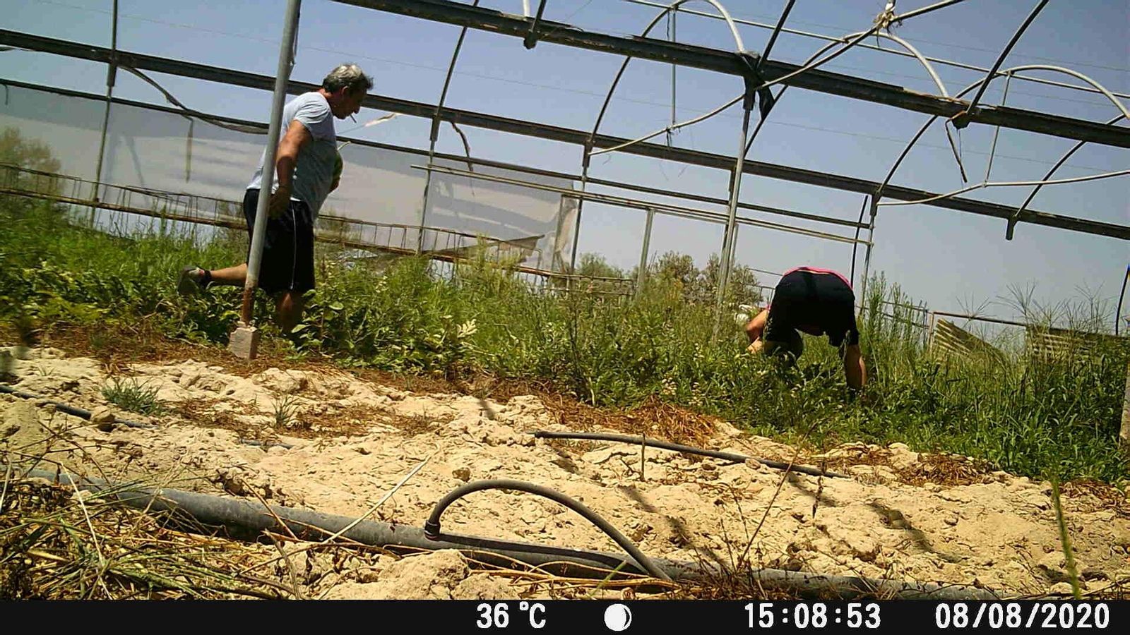 Dos de los delincuentes, en plena acción.