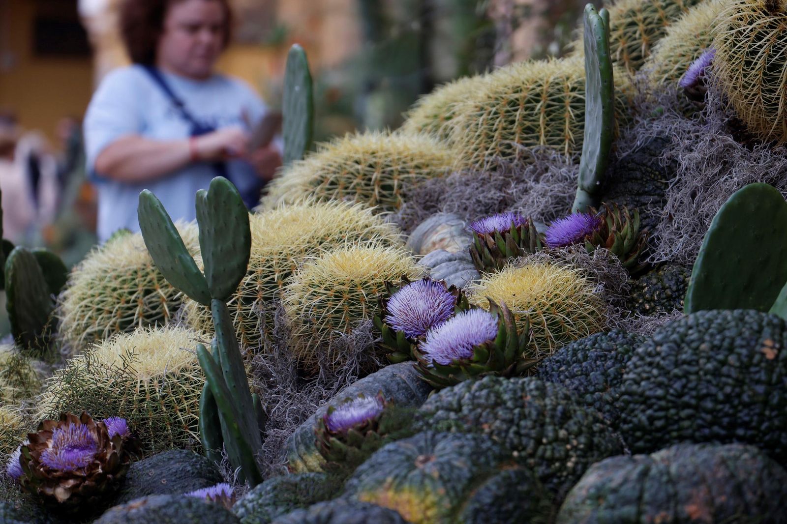 Las últimas horas para visitar las instalaciones de Flora en Córdoba, en imágenes