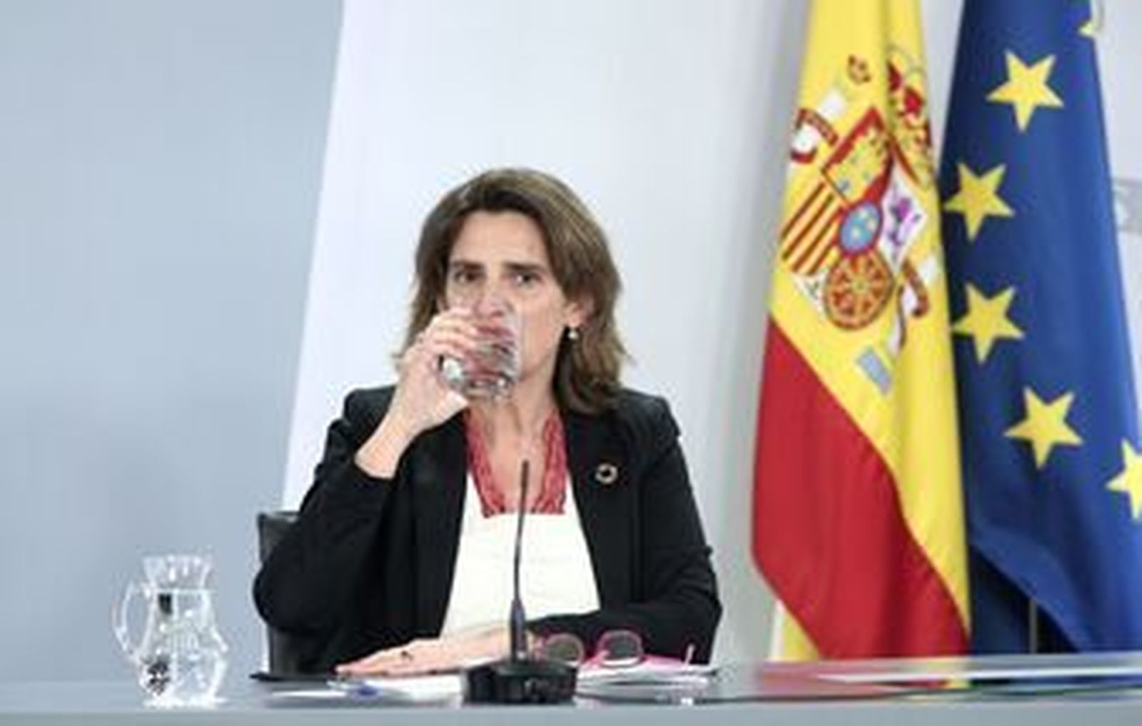 Aprueban estrategias para la gestión de incendios forestales, la conservación del lobo y su coexistencia con la ganadería y el control del alga invasora