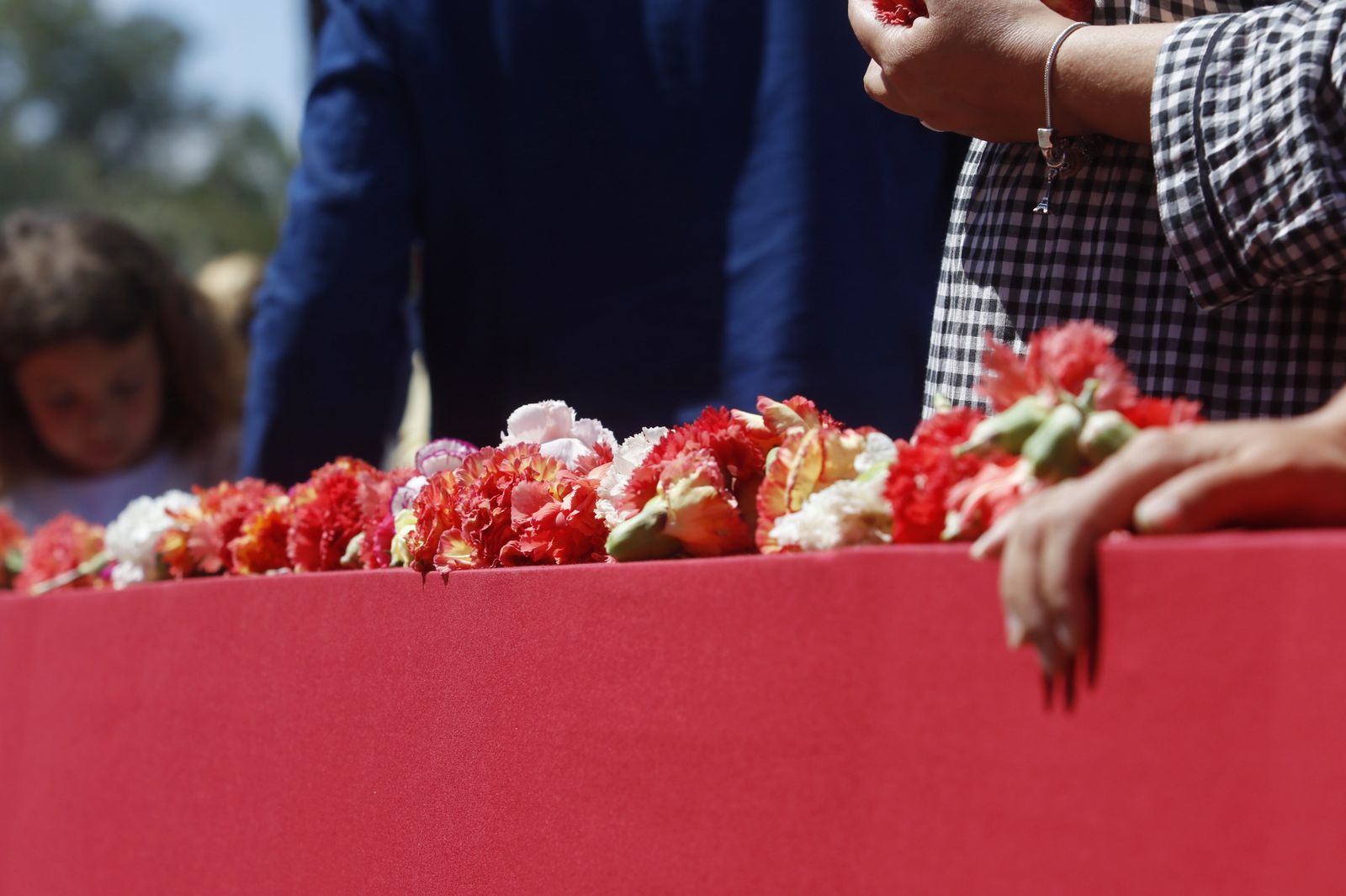 La Batalla de las Flores de Córdoba, en imágenes
