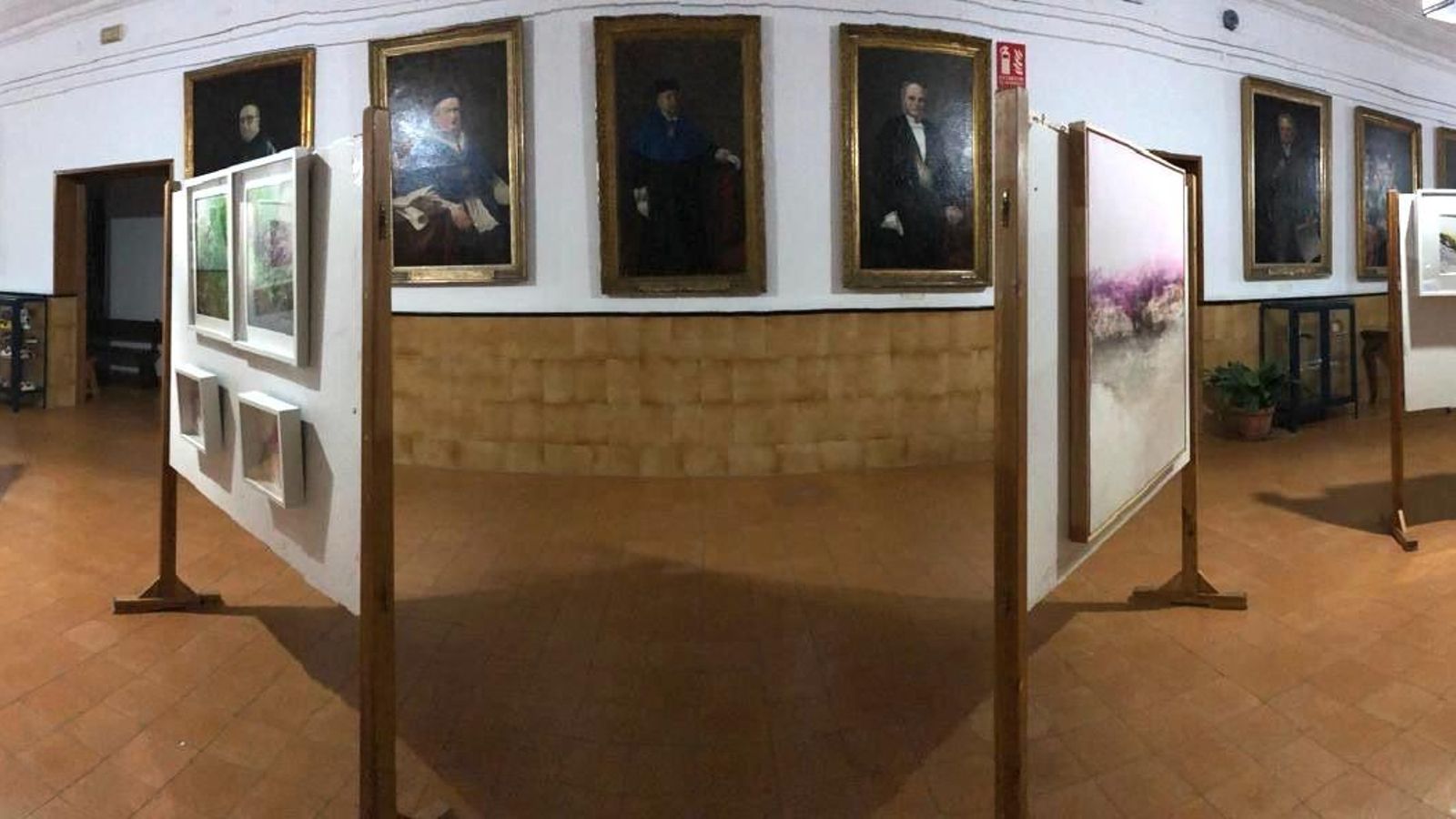 Otra vista de la muestra.