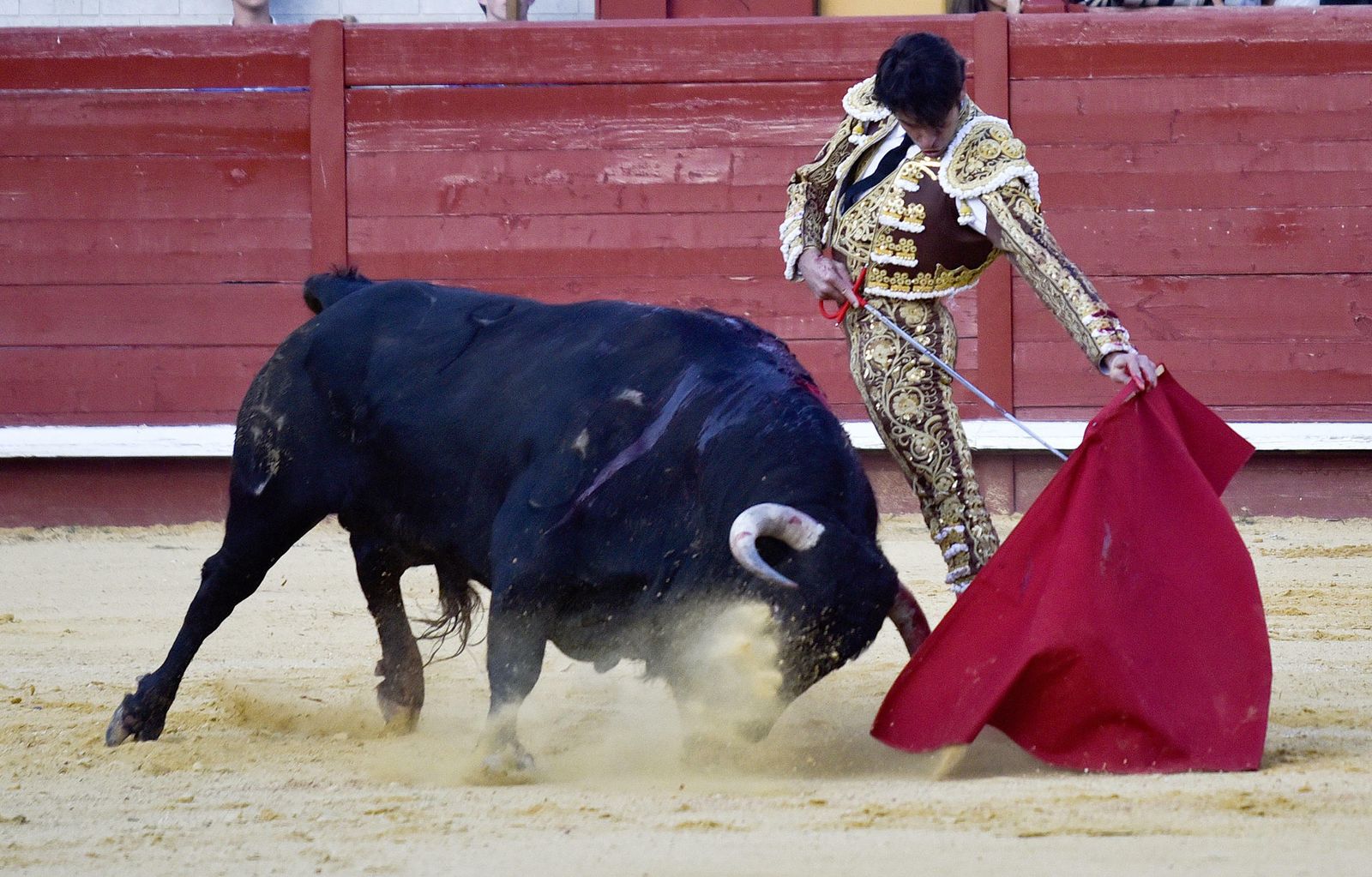 Las imágenes de la corrida en Morón con la reaparición de Jesulín de Ubrique