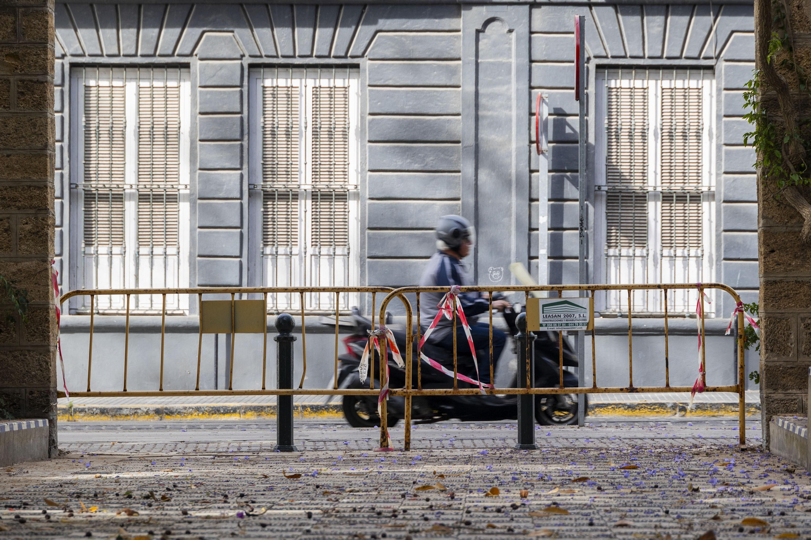 Las imágenes del mal estado de los paseos de Cádiz