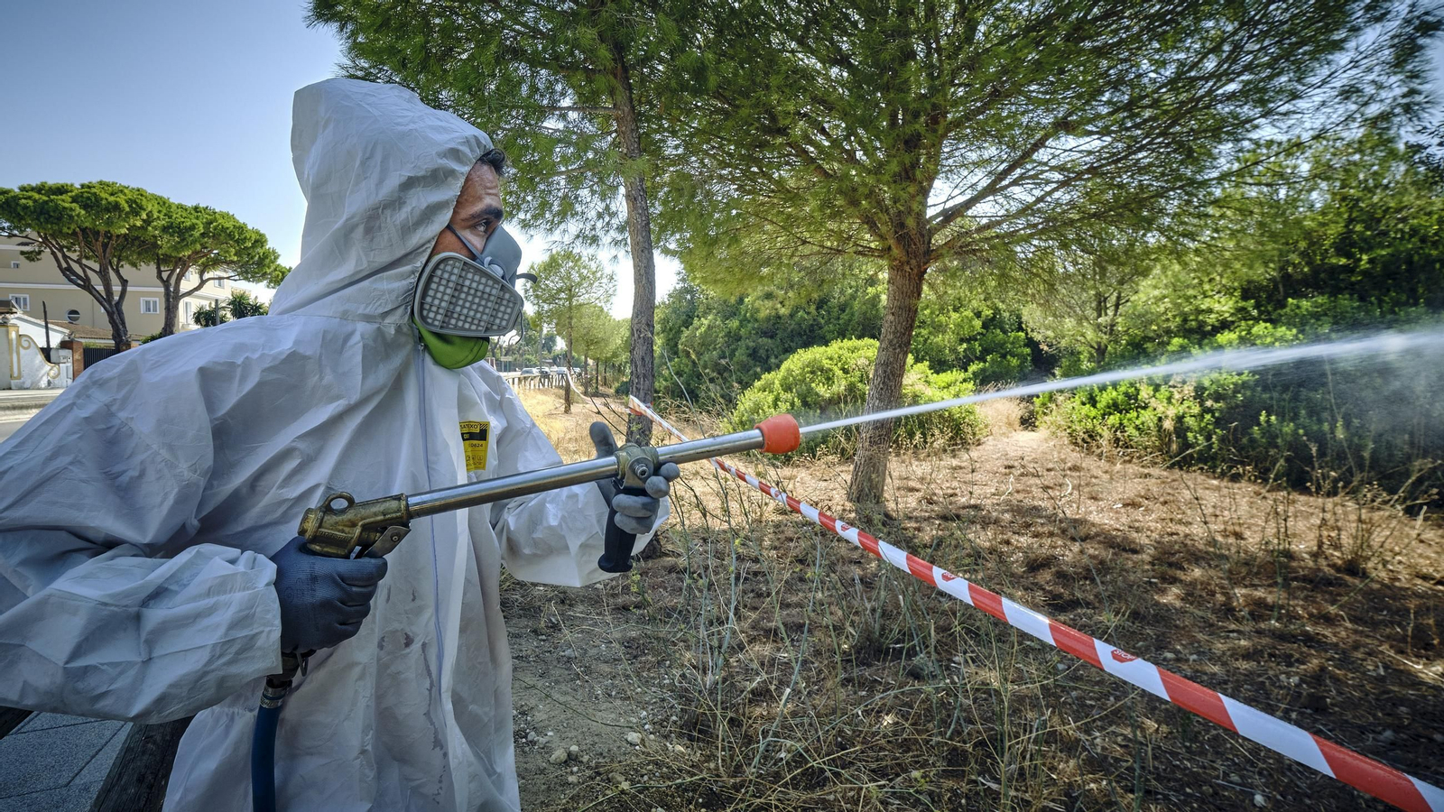 Operarios de la empresa COPLAGA proceden a fumigar en la zona de Las Canteras de Puerto Real. Operarios de la empresa COPLAGA proceden a fumigar en la zona de Las Canteras de Puerto Real.