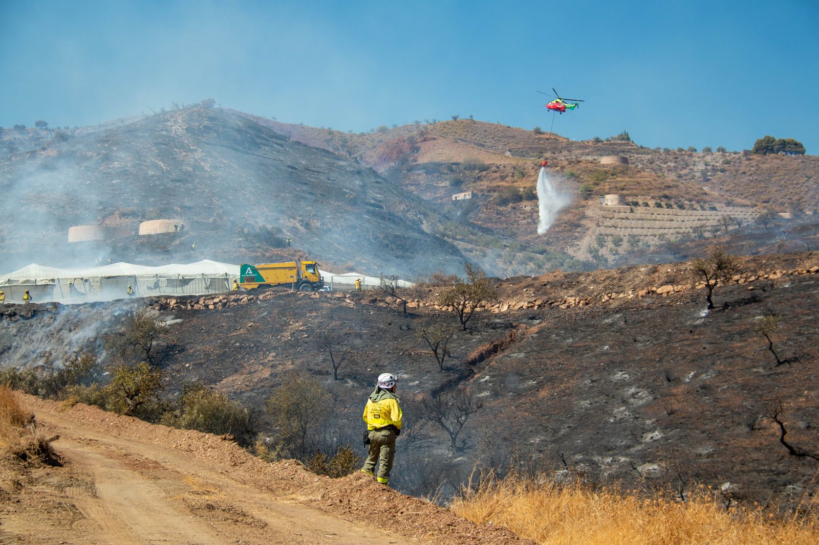 Estabilizado el incendio forestal en Molvízar