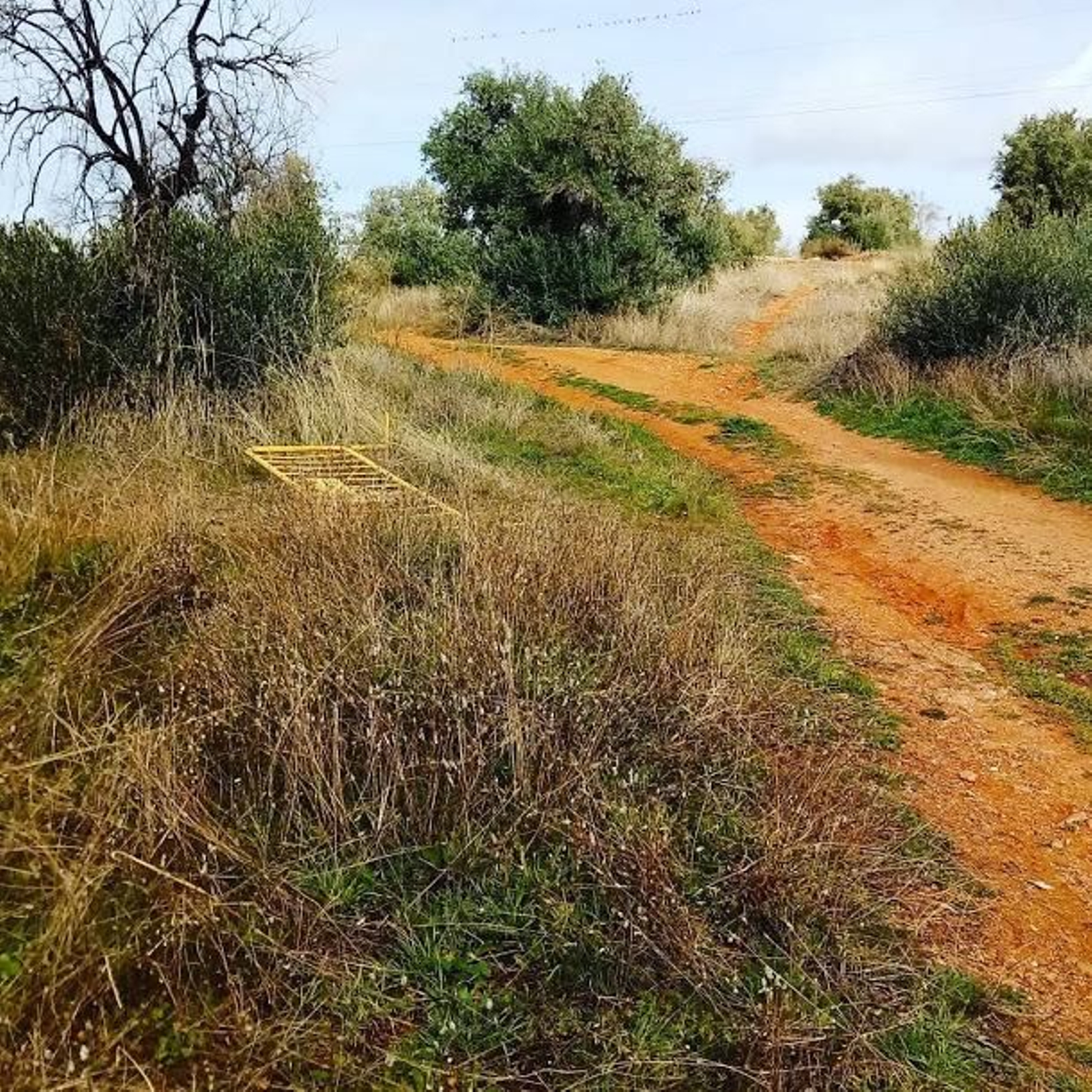 Pozos en el camino del Lorador