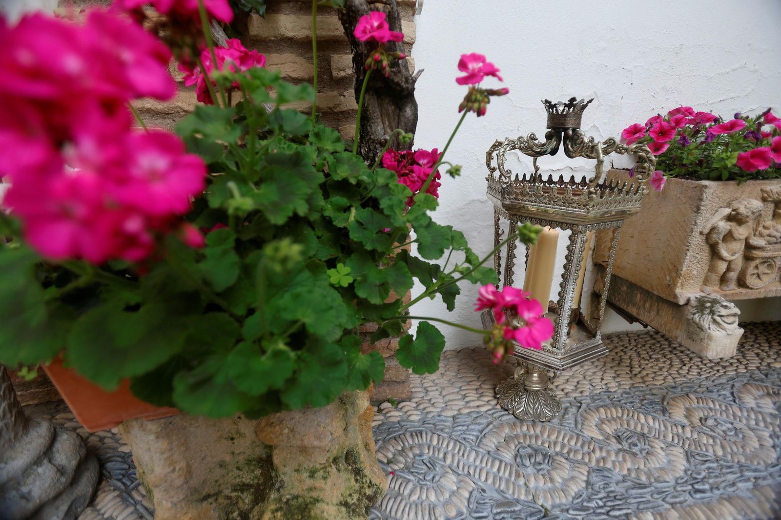 Los Patios de Córdoba que abren este Viernes Santo, en imágenes