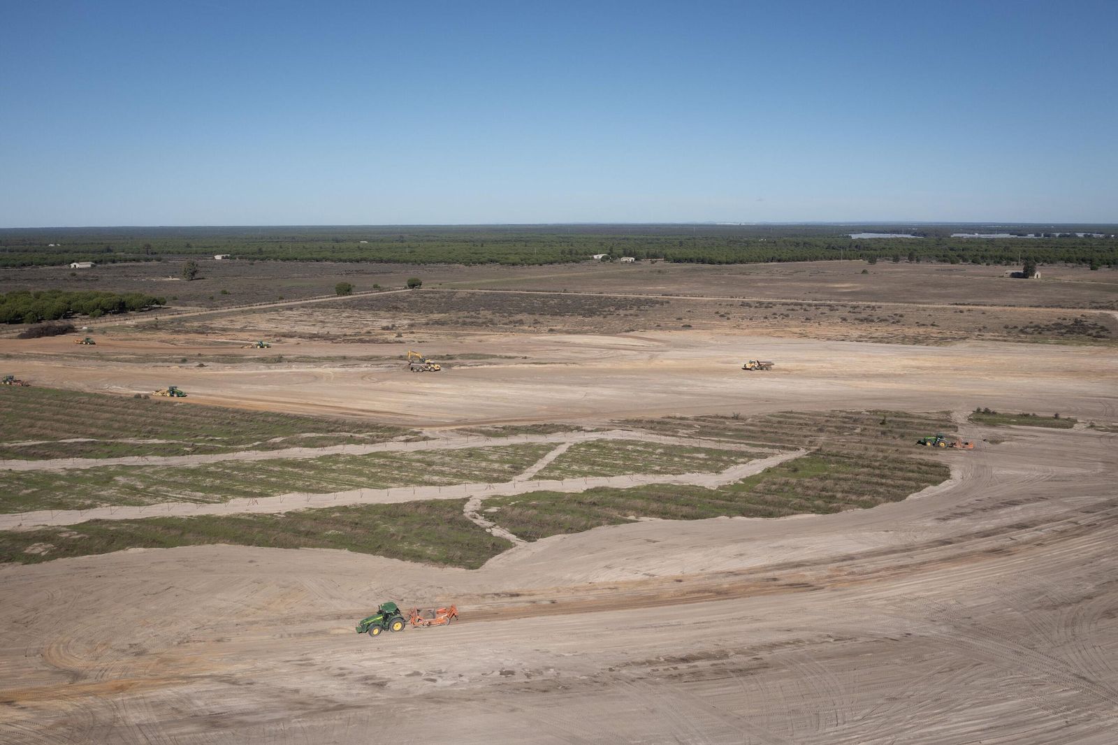 La renaturalización de Los Mimbrales: imágenes de la transformación del espacio natural