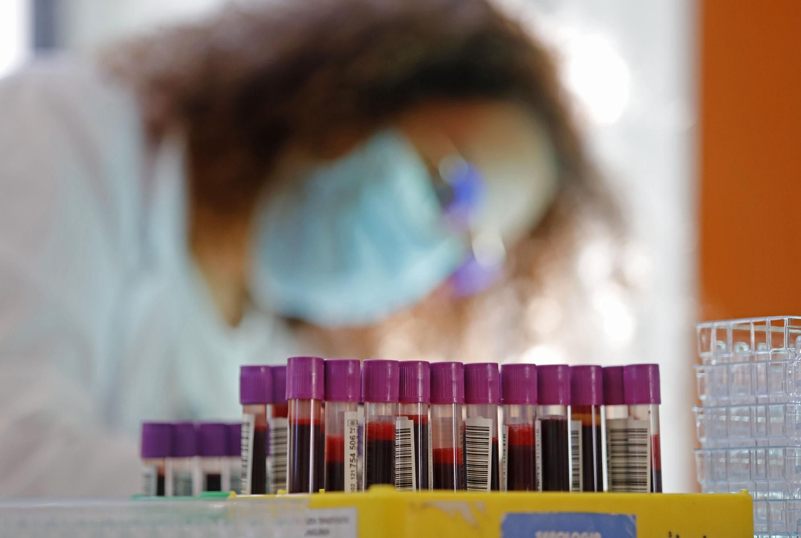 Macrocolecta de sangre en la Casa Colón