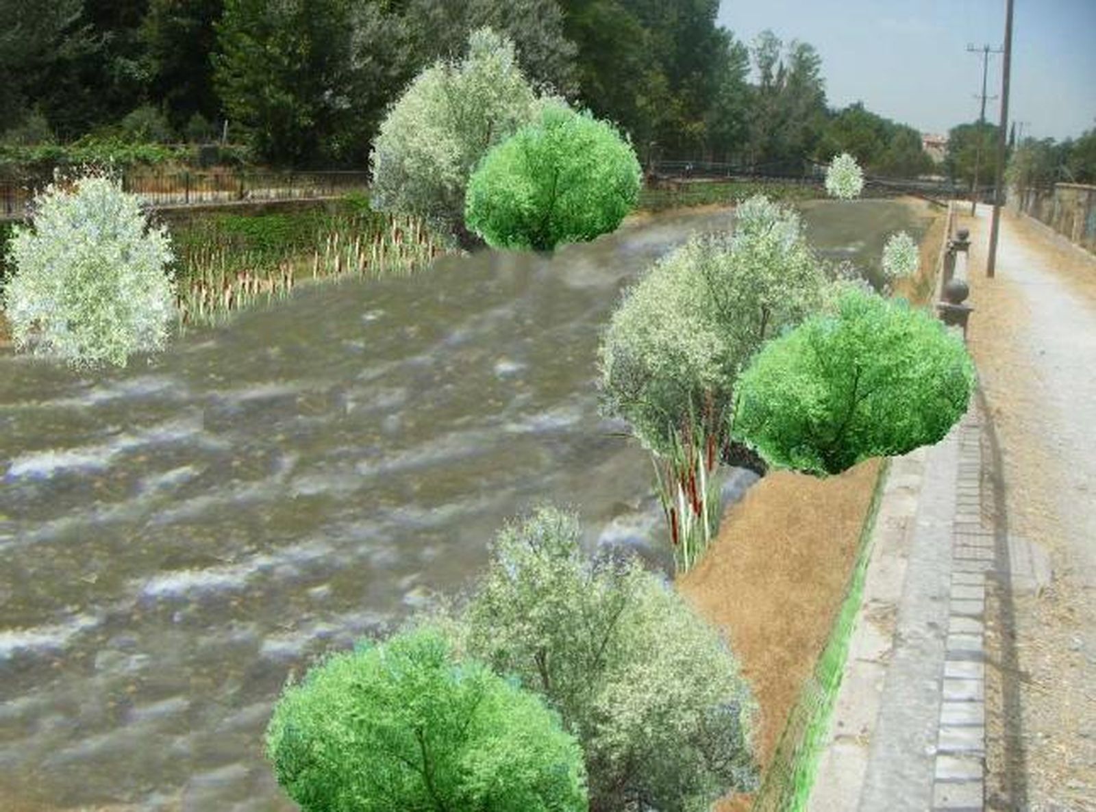 Fotos: ¿Cómo sería el Genil en su estado natural?