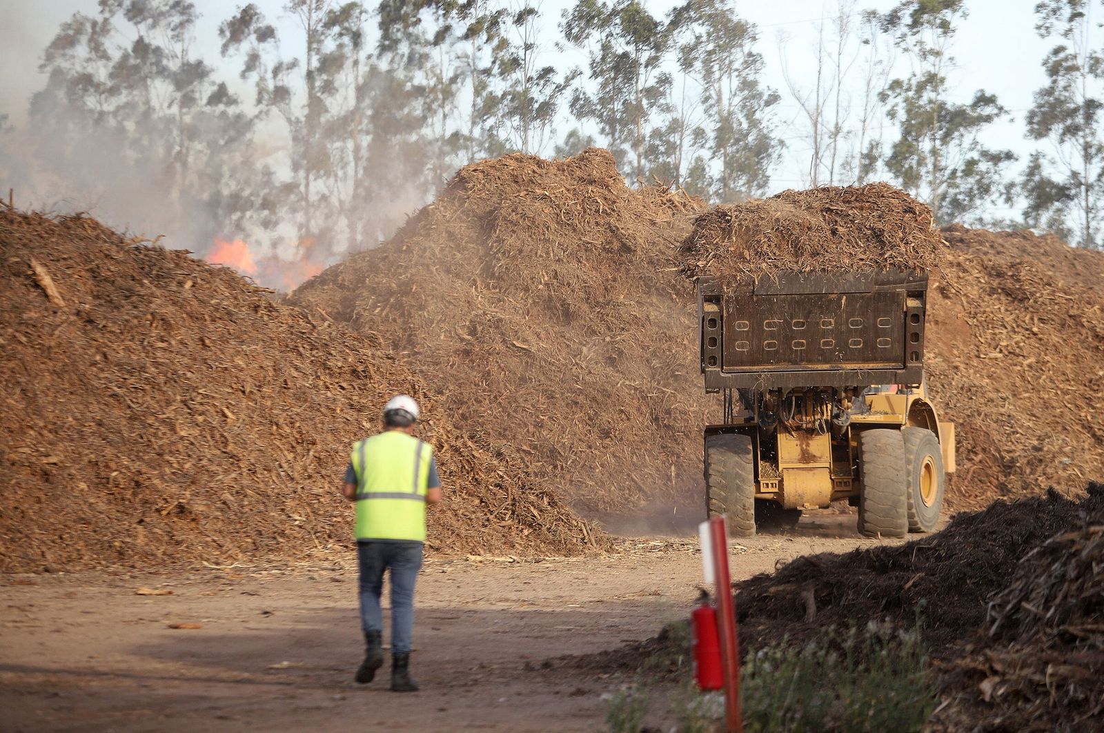 Incendio el pasado sábado en el parque de almacenamiento de biomasa de Magnon.