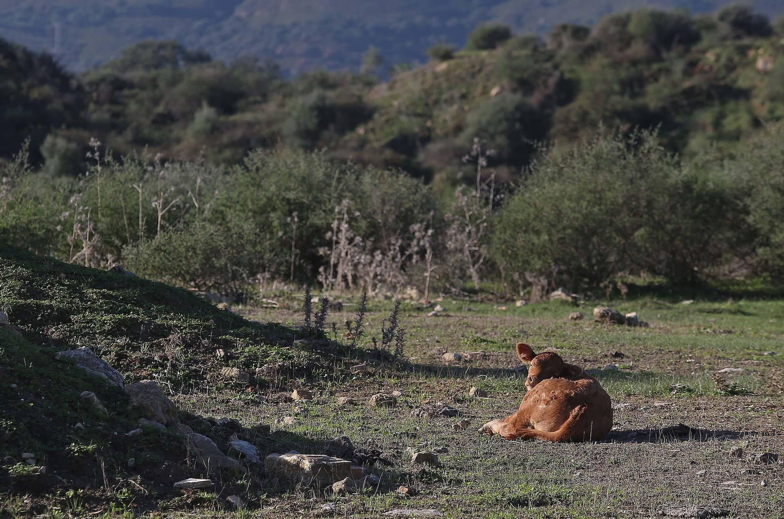 Imágenes del acuífero de la Huerta de Las Pilas en Algeciras