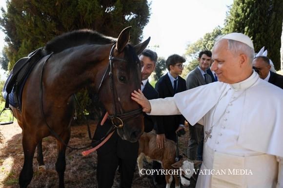 De los campos de Fuentes de Andalucía a el Borgo Laudato Si en Castel Gandolfo