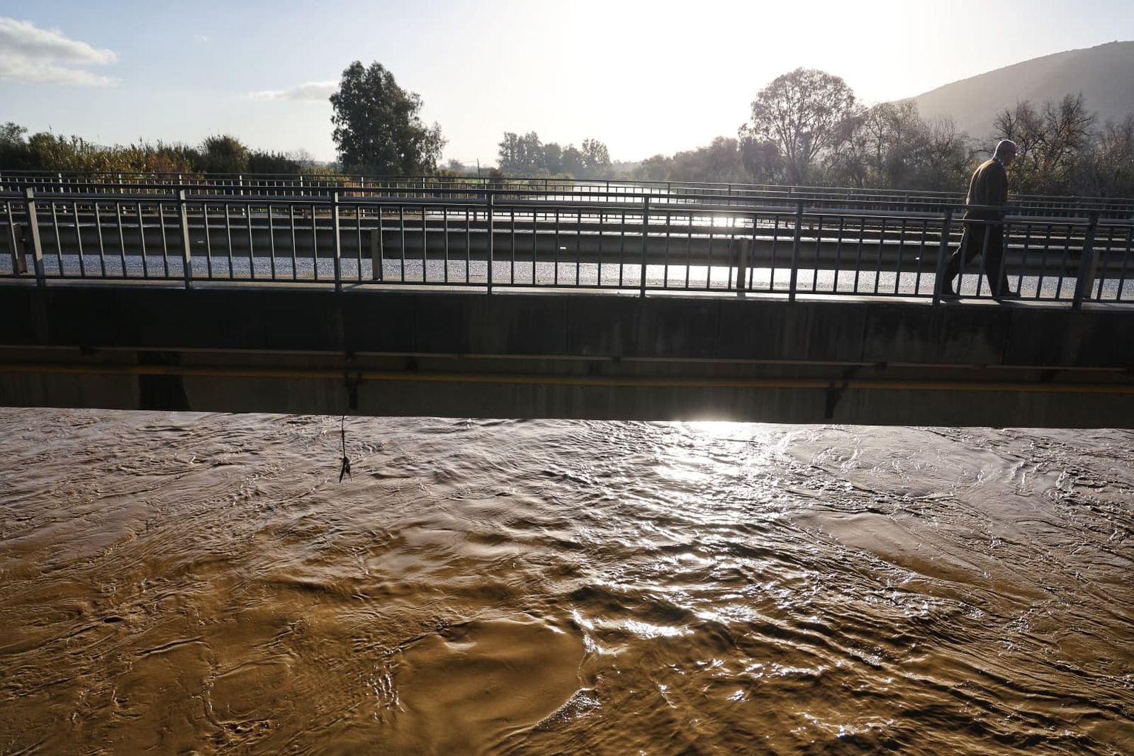 El río Guadalhorce a su paso Cártama este lunes.