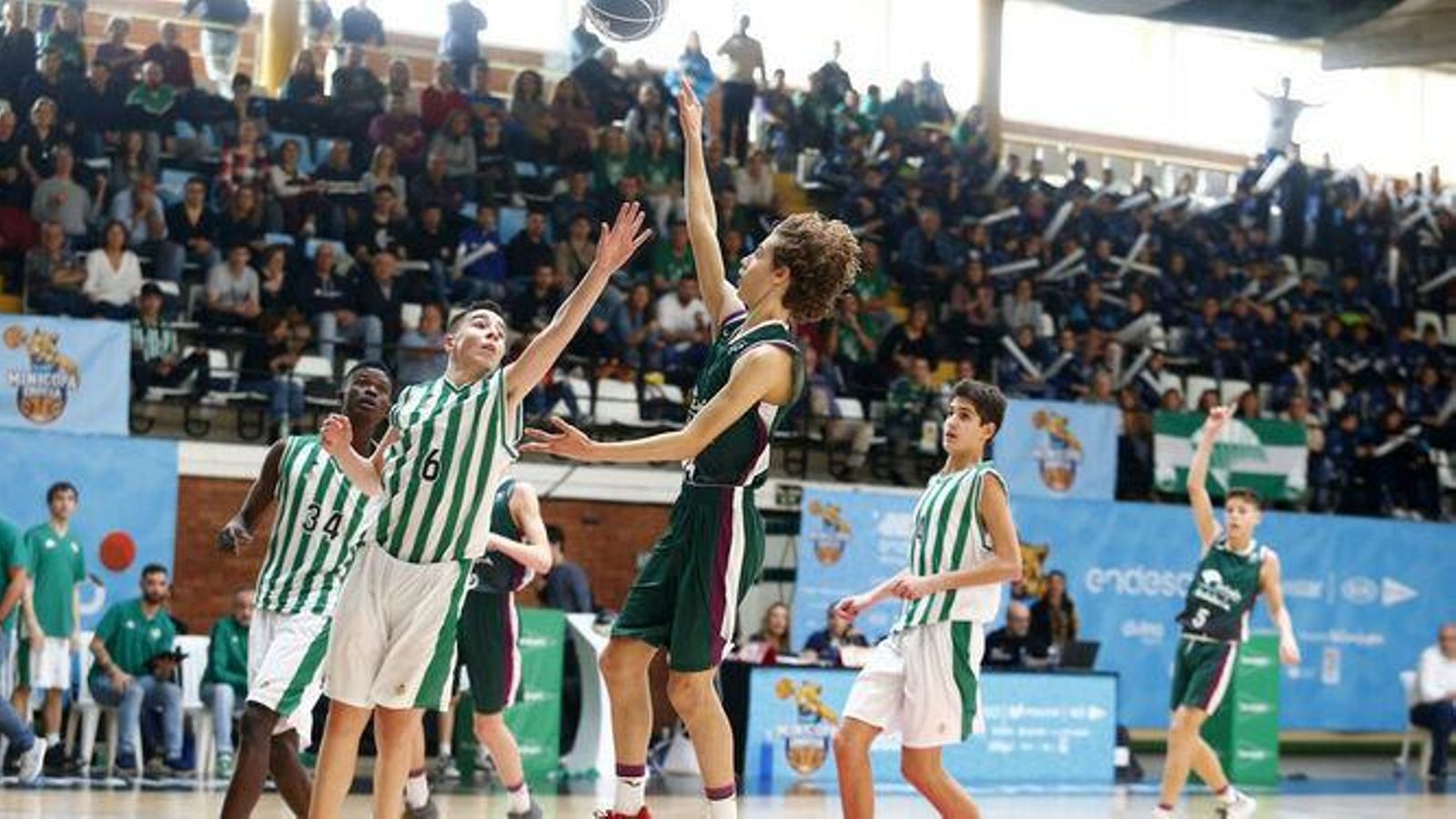 Guille del Pino
