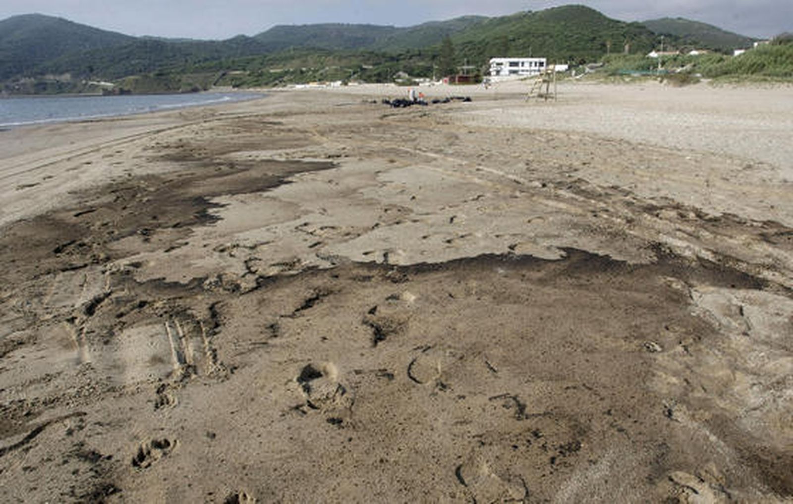 Desplegado el dispostivo de limpieza en la playa de Getares.

Foto: Erasmo Fenoy