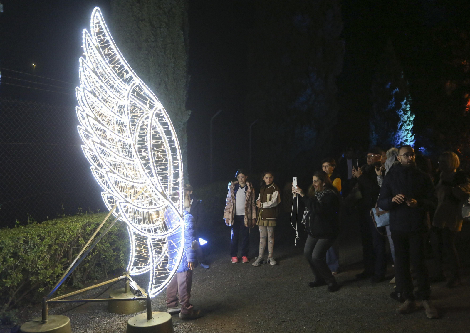 Las luces del Jardín Botánico de Málaga esta Navidad, en fotos