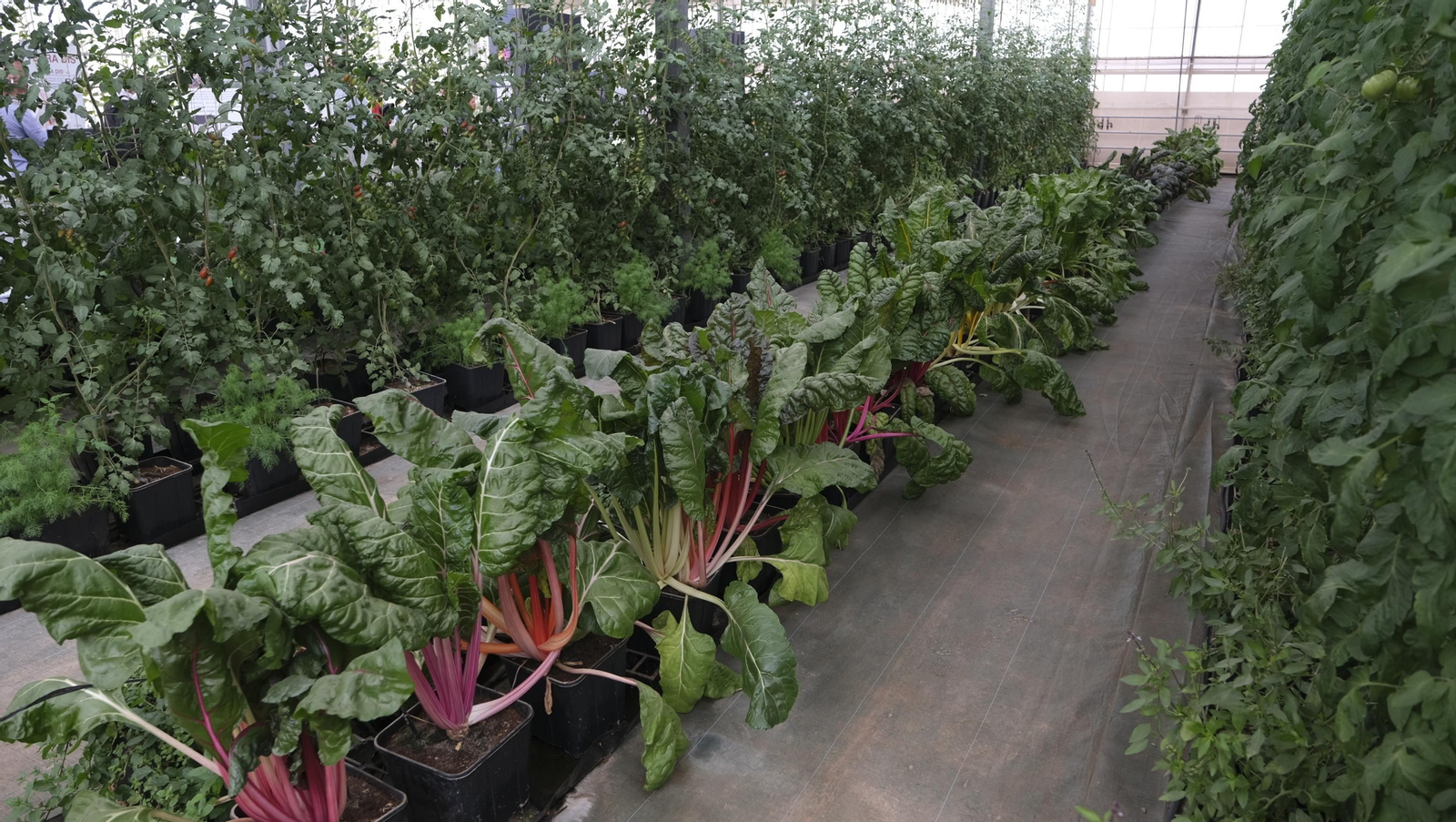 Imágenes del Foro Datagri en Las Palmerillas Cajamar