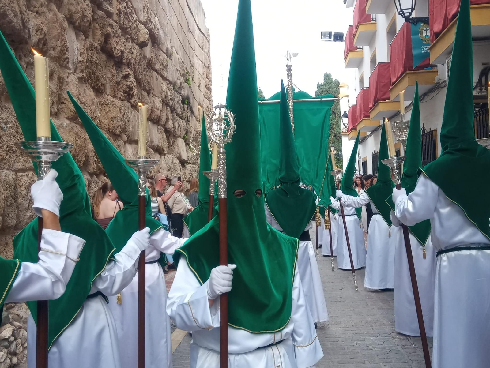 La Pollinica el Domingo de Ramos en Marbella, en imágenes