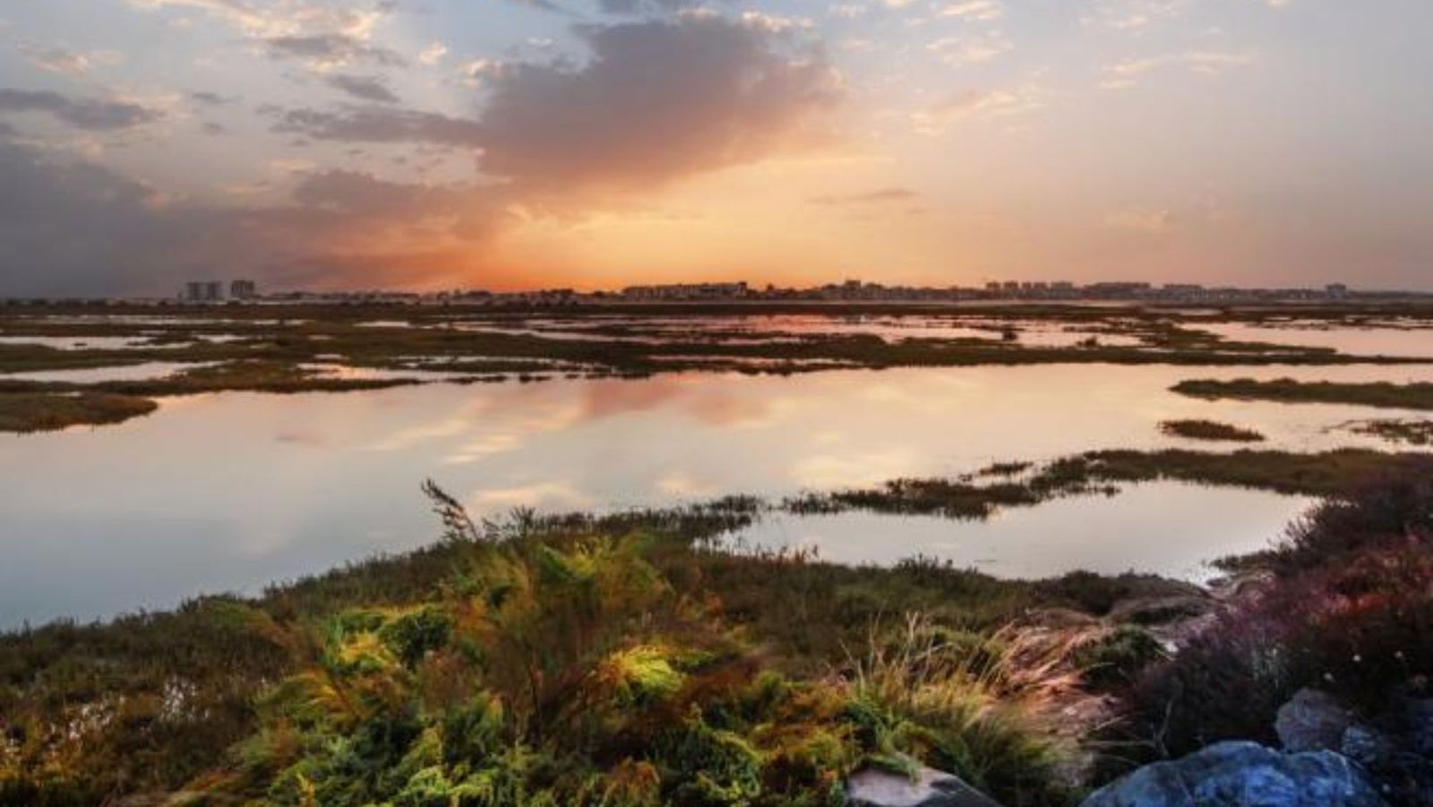 Los 4 bellos parajes naturales de Huelva que tienes que conocer una vez en la vida