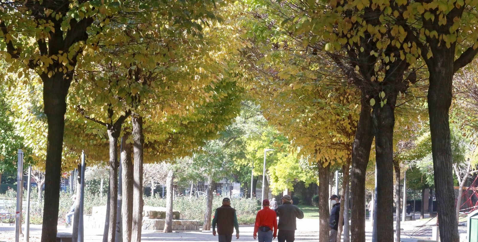 Varias personas pasean por un parque de Córdoba.
