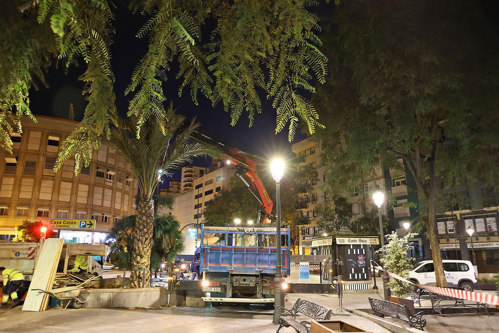 Las mejores imágenes de la plantación de la nueva palmera de Huelvaga