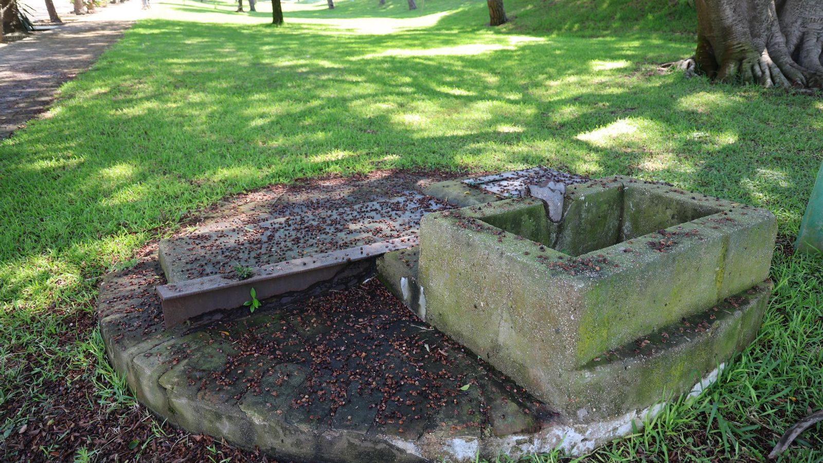 Restos de la vieja noria. jpg