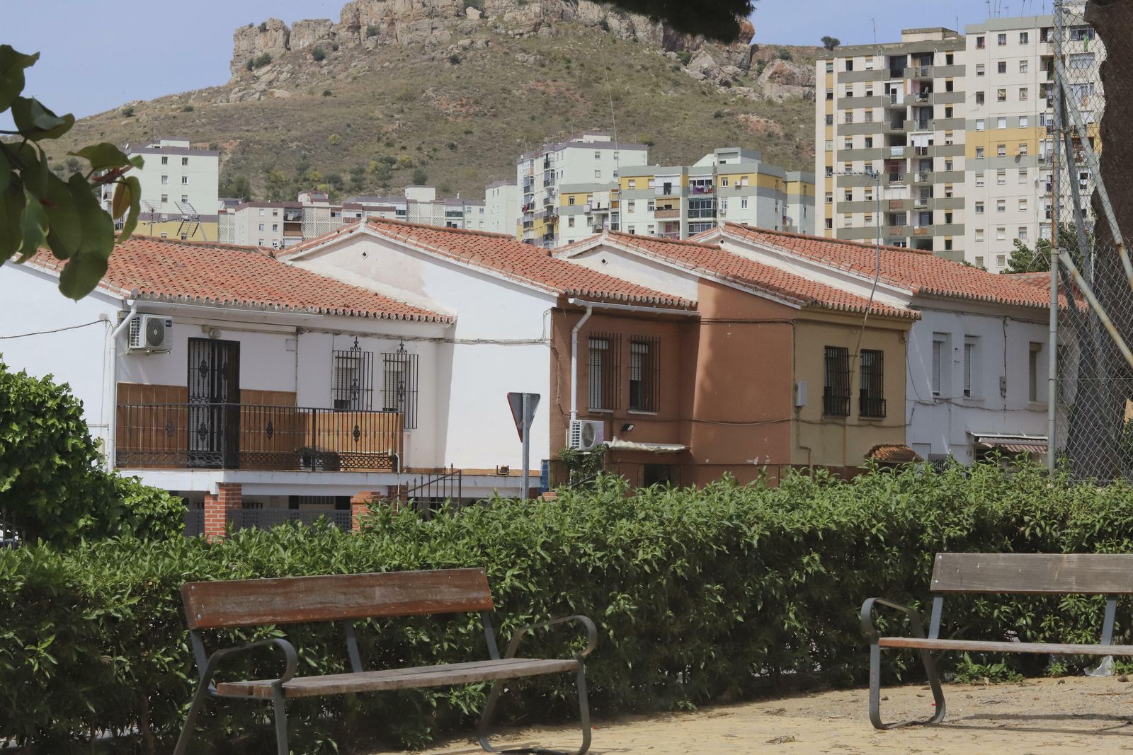 Las fotos del distrito Palma-Palmilla