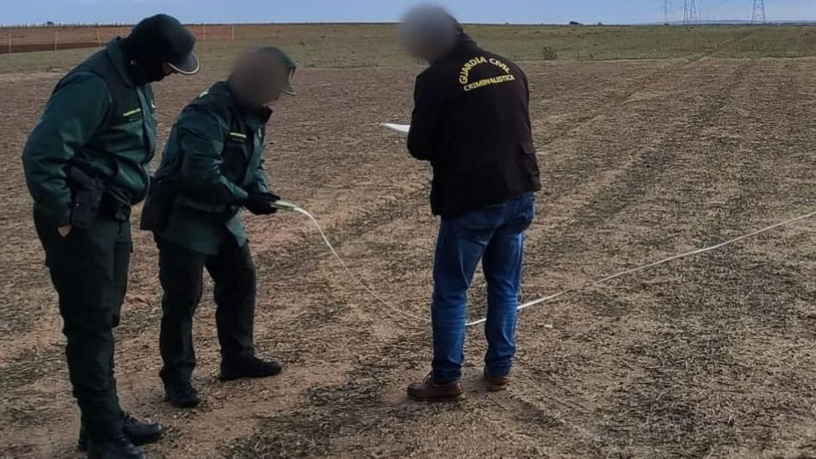 Muere una anciana de 96 años tras ser atacada por dos perros en Murcia