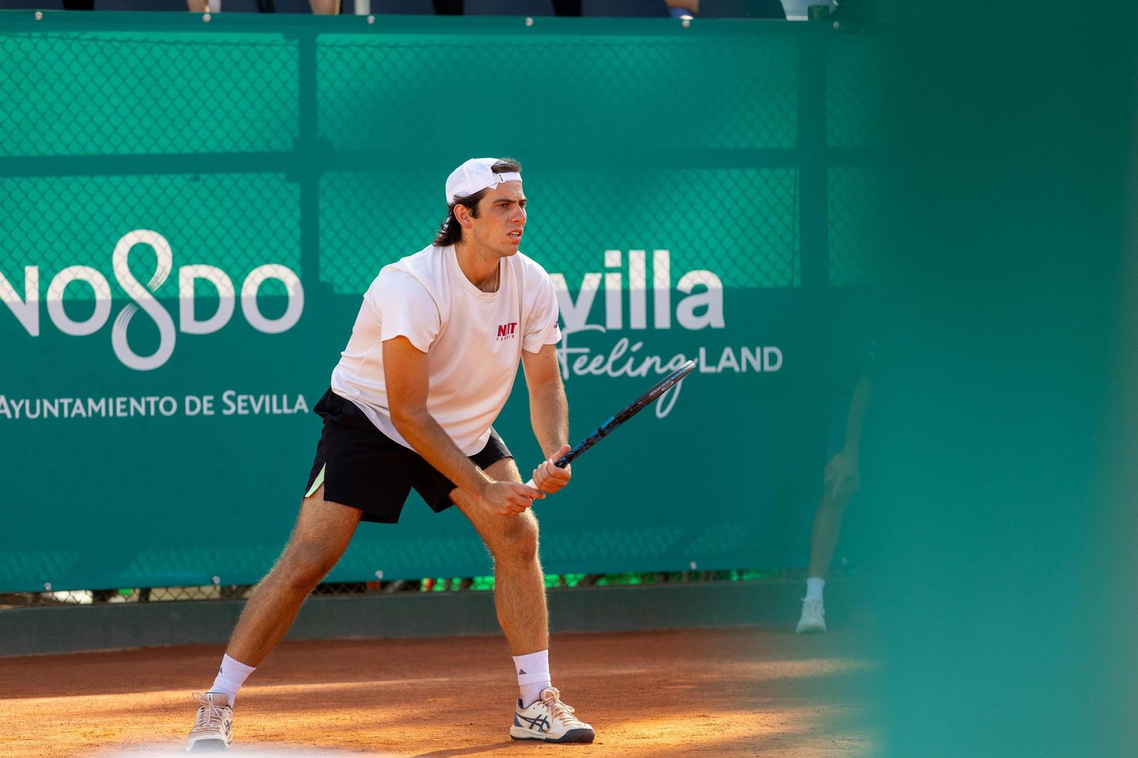 Llamas-López - Puyol-Mansilla  (49).jpg