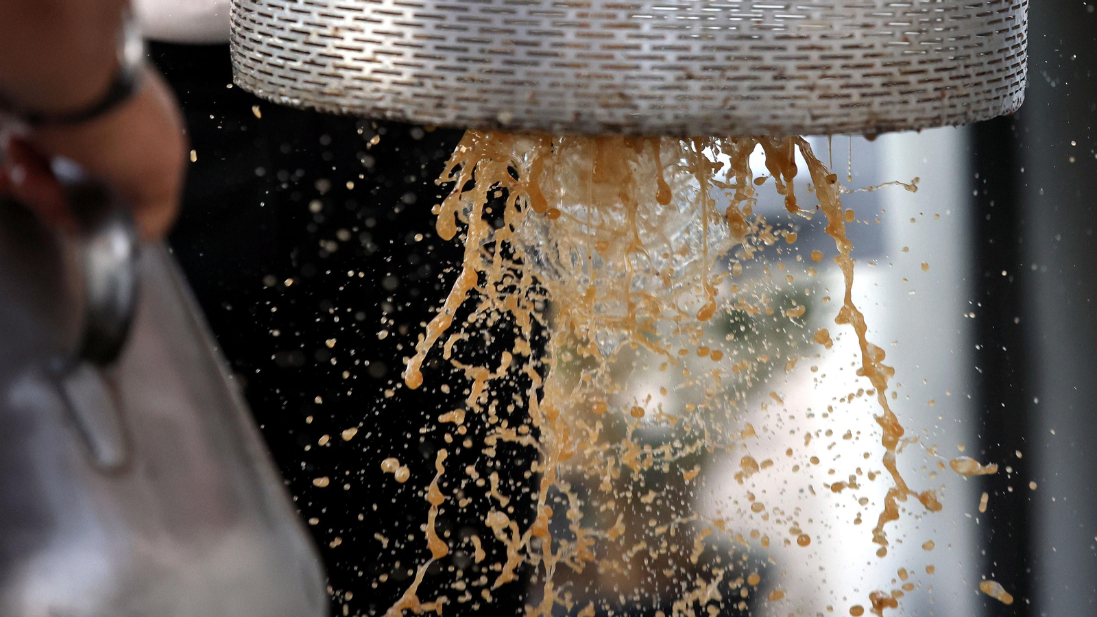 Tradicional Pisa de la Uva en la Catedral de Jerez 2023