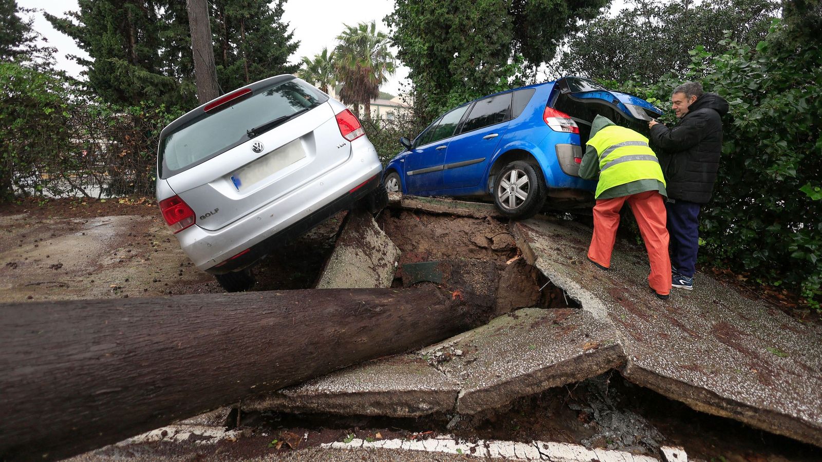 Dos personas junto a unos vehículos atrapados al levantarse el pavimento tras caerse un árbol en Los Barrios (Cádiz)