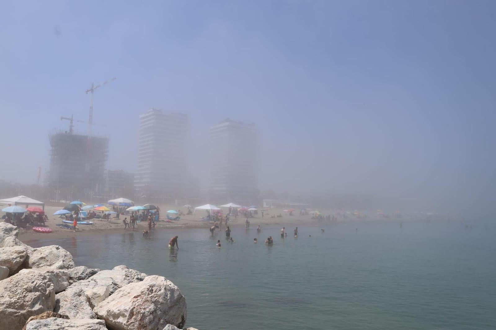 Así llega el taró a Málaga, en imágenes Así llega el taró a Málaga, en imágenes