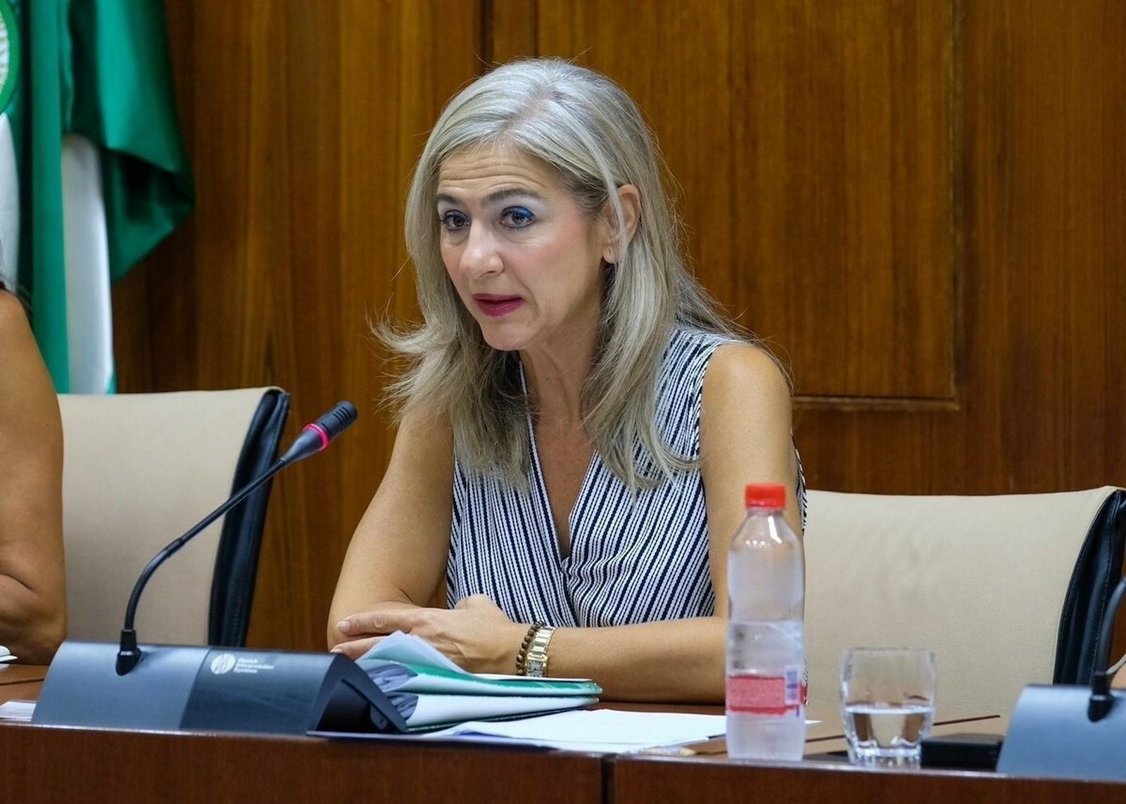 La consejera, Patricia del Pozo, durante la comparecencia de ayer.
