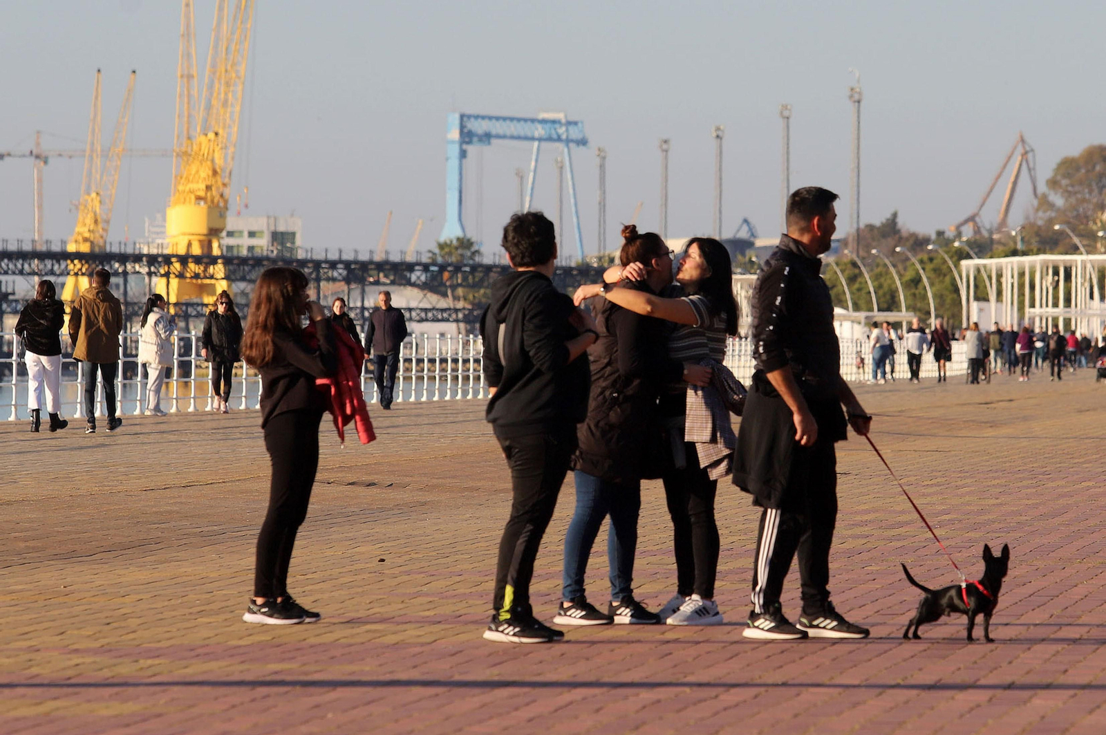 Imágenes del domingo 5 de febrero en Huelva