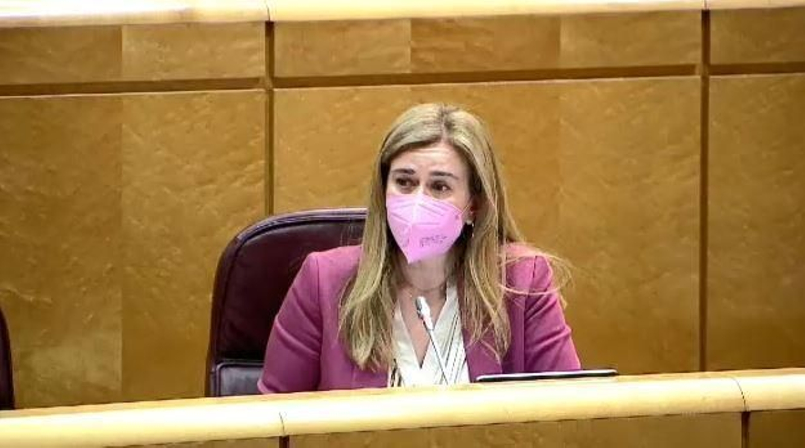 Teresa Ruiz Sillero durante su intervención en la Comisión de Industria del Senado
