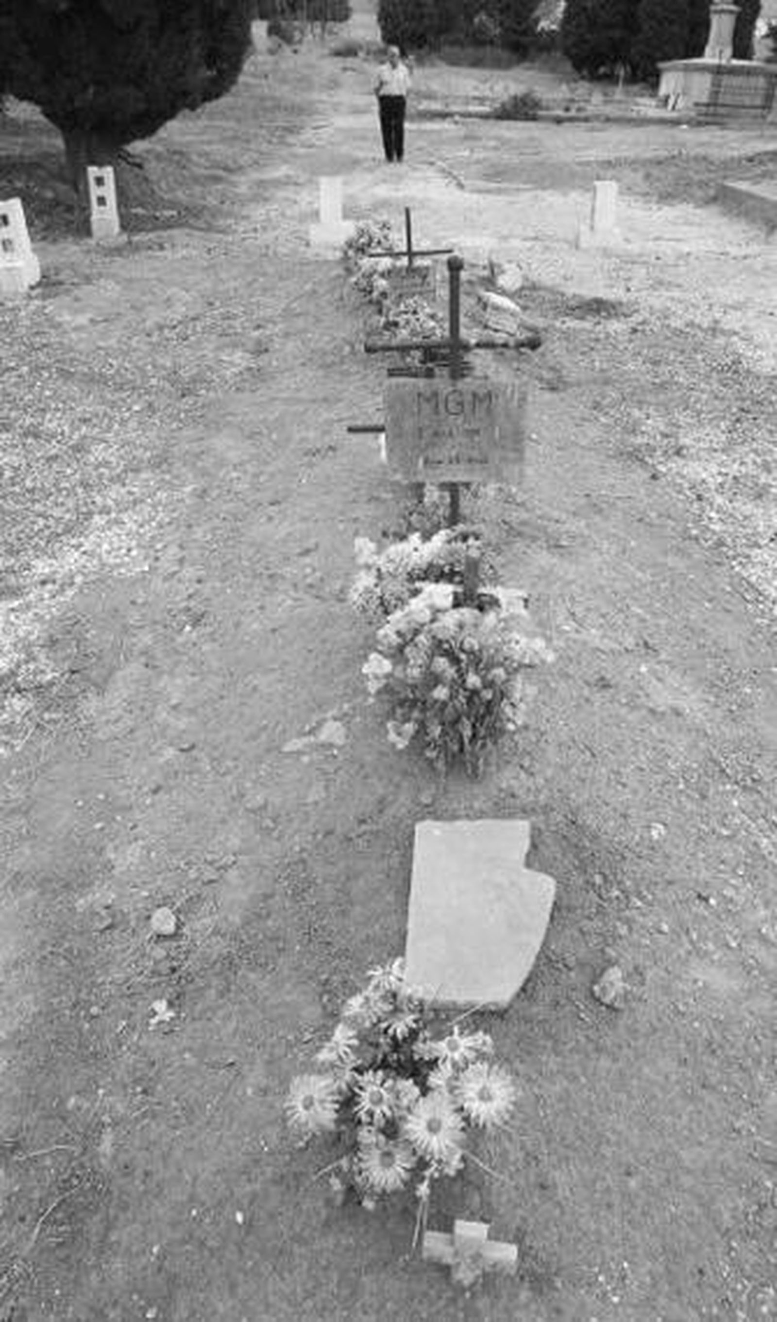 Trabajos de exhumacion de las fosas comunes del cementerio de Málaga.